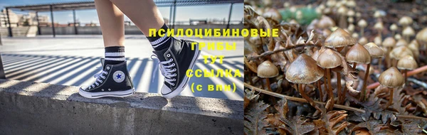 Альфа ПВП Армянск
