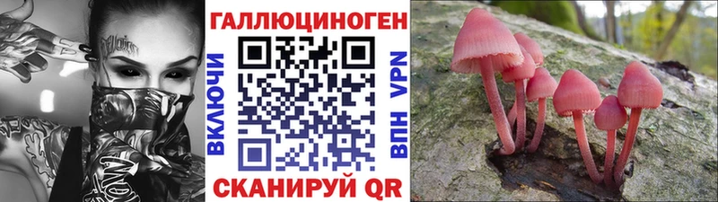 Галлюциногенные грибы ЛСД  дарк нет наркотические препараты  Цимлянск  где можно купить  